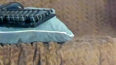 rouse_sexy_hotxx77 online show from June 14, 3:08 am