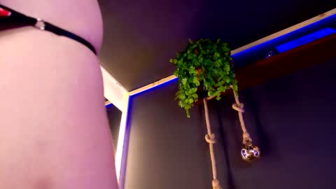 Snapshot of roxxxevelvet chatting on November 30, 10:47 pm Roxx IG online show from November 30, 10:47 pm