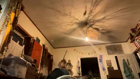 rp131313 online show from November 9, 1:59 am