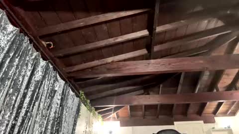 Snapshot of rp30 chatting on January 19, 1:15 pm Richhancocc online show from January 19, 1:15 pm