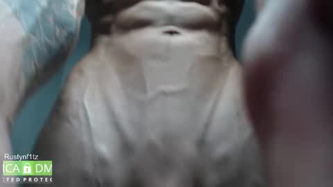 Snapshot of rustynf1tz chatting on October 23, 5:29 am MillionDollarGuy online show from October 23, 5:29 am