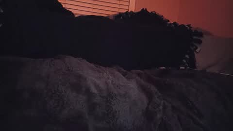 Snapshot of ryanfc85 chatting on November 6, 7:09 am RFC666 online show from November 6, 7:09 am