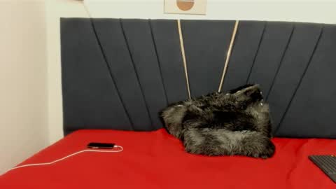 Snapshot of ryder_cum23 chatting on November 12, 3:40 am ryder_cum23 online show from November 12, 3:40 am