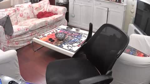 s3xyboy79 online show from April 26, 1:47 am