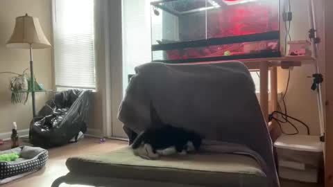 Snapshot of sabrosocockcarnesandwich chatting on October 5, 2:59 pm sabrosocockcarnesandwich online show from October 5, 2:59 pm