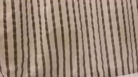 Dee online show from October 29, 1:13 pm