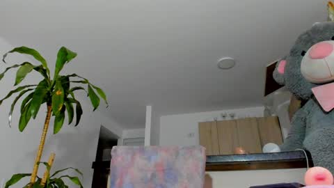 Snapshot of sahra_belmont chatting on December 7, 8:55 am Sara online show from December 7, 8:55 am