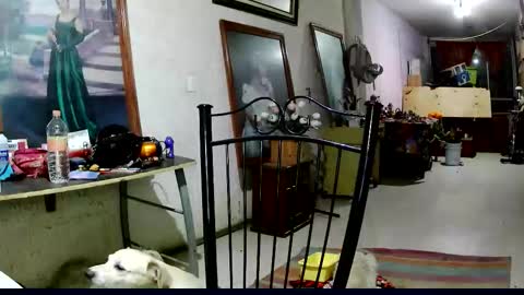 ruby  chocoholic cakeholic coffeeholic cookieholic online show from November 18, 12:16 am