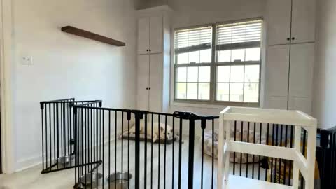 Cum Hanks online show from March 13, 2:23 pm