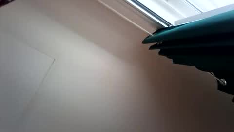 salis1981 online show from December 13, 7:53 pm