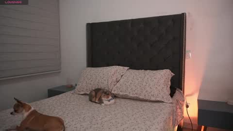 Snapshot of salomedyla chatting on May 12, 1:47 am salomedyla online show from May 12, 1:47 am