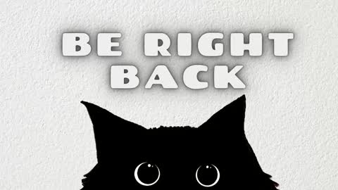 Salome online show from February 15, 3:47 am