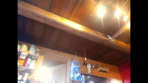 Snapshot of salsapaulus chatting on April 13, 12:10 pm salsapaulus online show from April 13, 12:10 pm