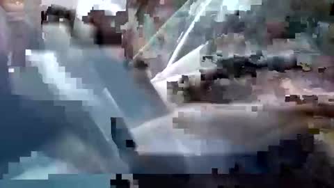 Snapshot of sam223382879 chatting on December 25, 3:28 pm sam223382879 online show from December 25, 3:28 pm