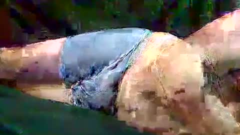 sam5554401727 online show from November 10, 6:40 pm