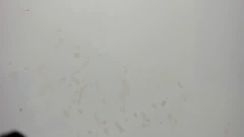sam_naughty18 online show from July 18, 2:38 am