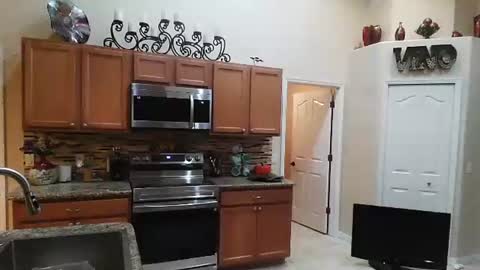 Snapshot of sam_papithebarber chatting on November 6, 4:24 am sam_papithebarber online show from November 6, 4:24 am