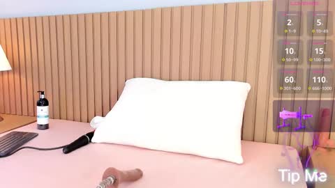 Sami and Lee online show from February 13, 8:34 pm