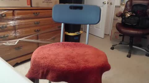 Sammy online show from September 21, 10:33 pm