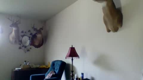 Snapshot of sancho13281 chatting on June 10, 6:18 pm 281mrD online show from June 10, 6:18 pm