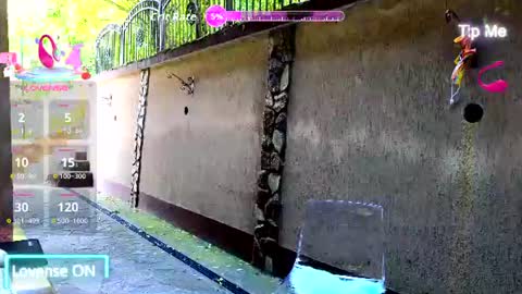 Sandra Milano online show from July 3, 7:48 am