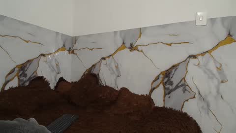 Snapshot of saraandthomas chatting on November 26, 12:00 am sara and thomas online show from November 26, 12:00 am