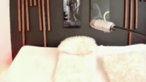     online show from December 9, 4:58 pm