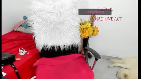 Snapshot of sarah_sweett chatting on May 15, 5:42 pm Sarah online show from May 15, 5:42 pm