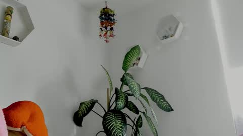 Saray  online show from February 2, 9:24 pm