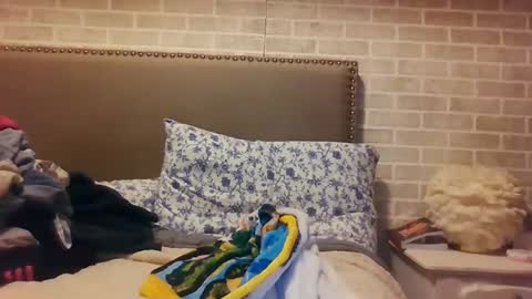 Snapshot of saretta46 chatting on December 15, 12:07 am Sara online show from December 15, 12:07 am