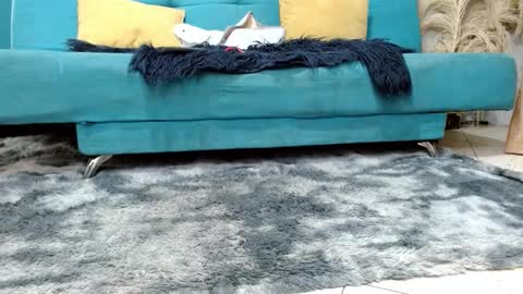 sarita_klein online show from March 2, 2:24 pm