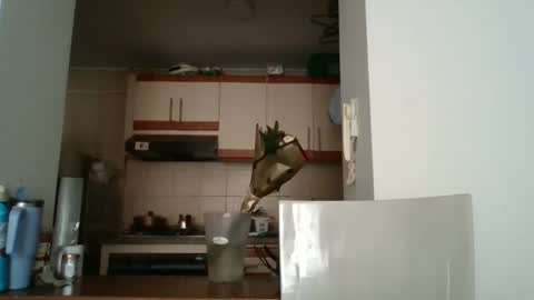 Snapshot of sarita_start chatting on May 11, 3:40 pm sarita_start online show from May 11, 3:40 pm