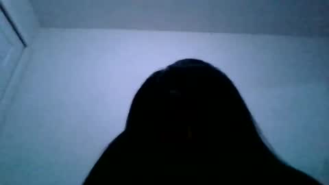 Snapshot of sashacoxxx chatting on December 1, 2:16 am sashacoxxx online show from December 1, 2:16 am