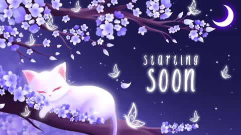 Sassy Sami Kittyn online show from January 3, 6:11 am