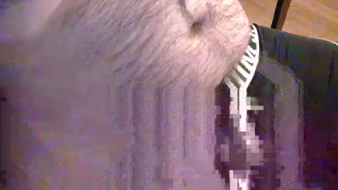sato58264 online show from May 18, 6:36 pm