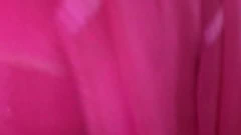 Anjali online show from March 11, 5:02 am