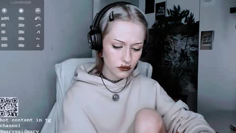 Snapshot of say_mary chatting on September 30, 8:03 pm pronoun she. name Mary. age 21. online show from September 30, 8:03 pm