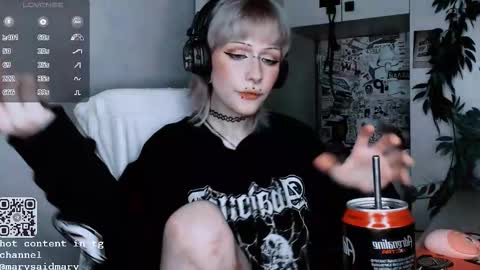 Snapshot of say_mary chatting on October 13, 12:10 am pronoun she. name Mary. age 21. online show from October 13, 12:10 am