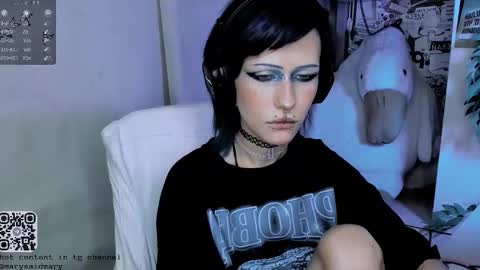 Snapshot of say_mary chatting on October 30, 3:46 pm pronoun she. name Mary. age 21. online show from October 30, 3:46 pm