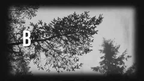 Snapshot of say_mary chatting on March 19, 11:31 pm pronoun she. name Mary. age 21. online show from March 19, 11:31 pm