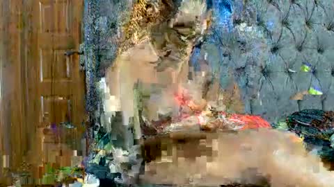 scarlet seductress online show from March 2, 11:22 pm