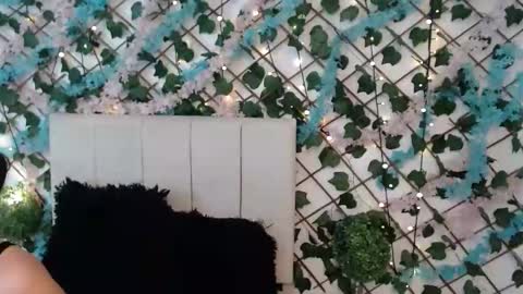 SCARLET online show from January 17, 10:42 am