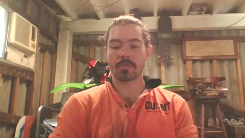 scincere369 online show from March 13, 12:50 am