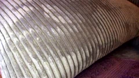 scotty2hotty46_ online show from February 21, 5:41 am