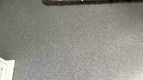 Snapshot of scottyc48 chatting on November 8, 10:04 am scottyc48 online show from November 8, 10:04 am