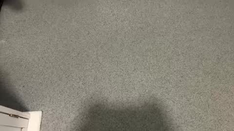 scottyc48 online show from December 17, 11:05 am