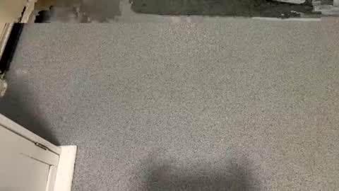 scottyc48 online show from January 6, 1:48 pm