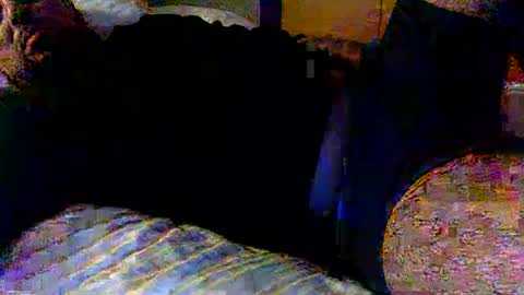 dick online show from February 19, 12:00 pm