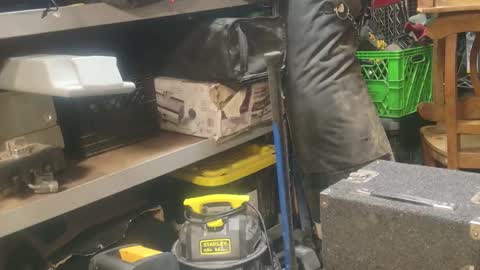 Seeker online show from January 1, 9:17 am