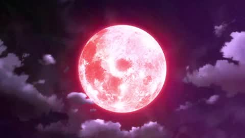 Selene G  online show from March 27, 2:28 am